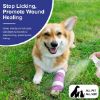 No Chew Spray for Dogs, Bitter Apple Spray for Dogs To Stop Chewing - All Natural & Non Toxic - Dog Deterrent Spray