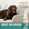 No Chew Spray for Dogs, Bitter Apple Spray for Dogs to Stop Chewing - All Natural & Non Toxic - Dog Deterrent Spray, 50ml